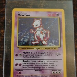 Purple and Yellow Feline Delight